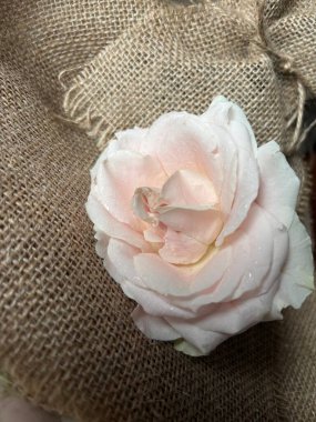 Kumaşın üzerinde güzel bir gül çiçeği