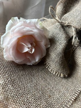 Eski ahşap arka planda pembe güller