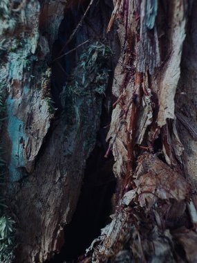 eski ahşap doku arkaplanı