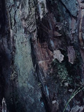 Ahşap bir yüzeyin soyut arkaplanı