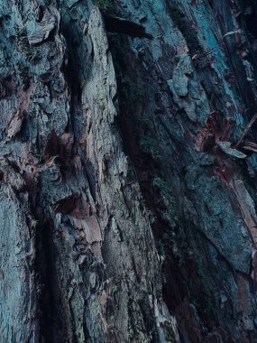 eski ahşap doku, arka plan