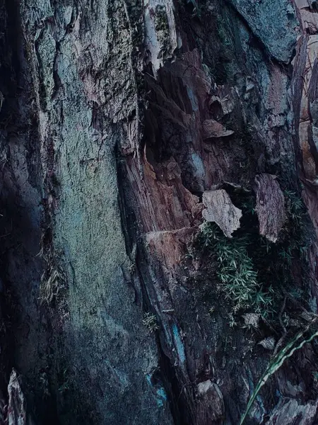 Ahşap bir yüzeyin soyut arkaplanı