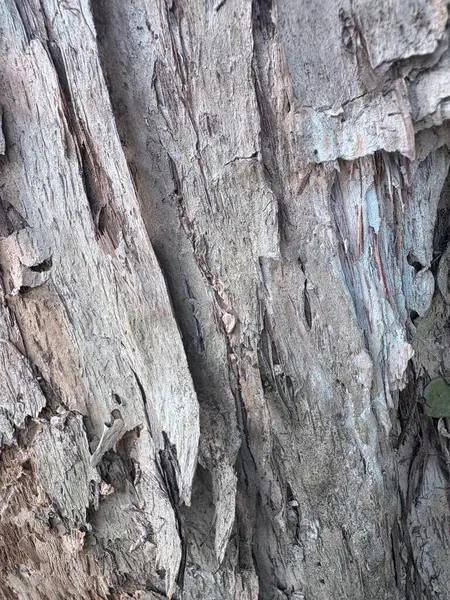 eski taş doku arkaplanı