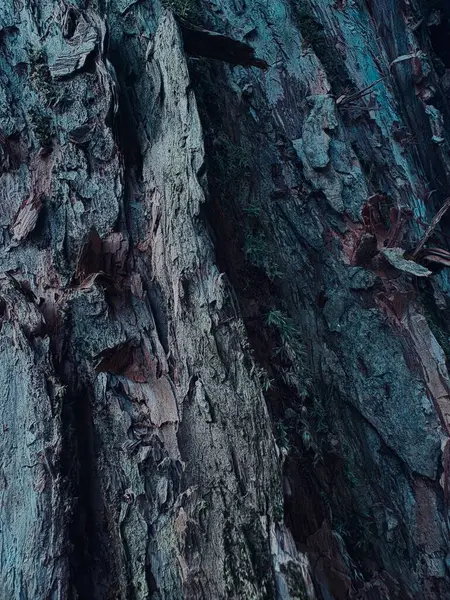 eski ahşap doku, arka plan