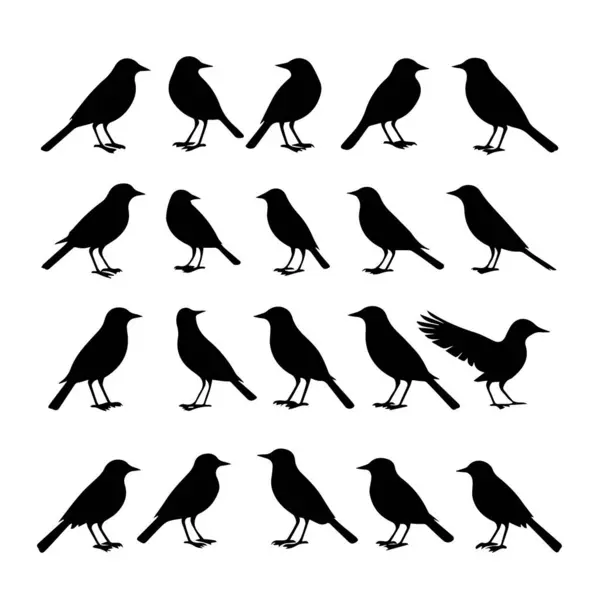 Çeşitli pozlarda 20 siyah kuş silueti