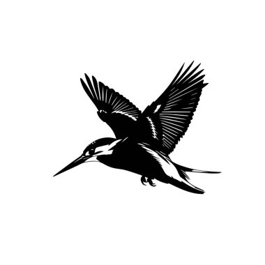 Uçan siluette siyah ve beyaz Kingfisher kuşu