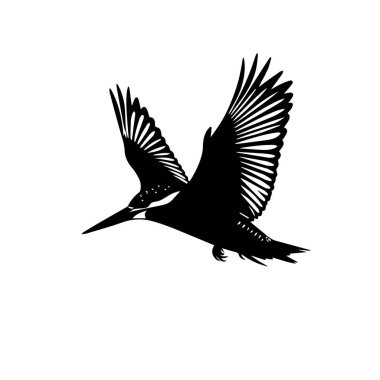 Uçan bir balıkçının siyah silueti.