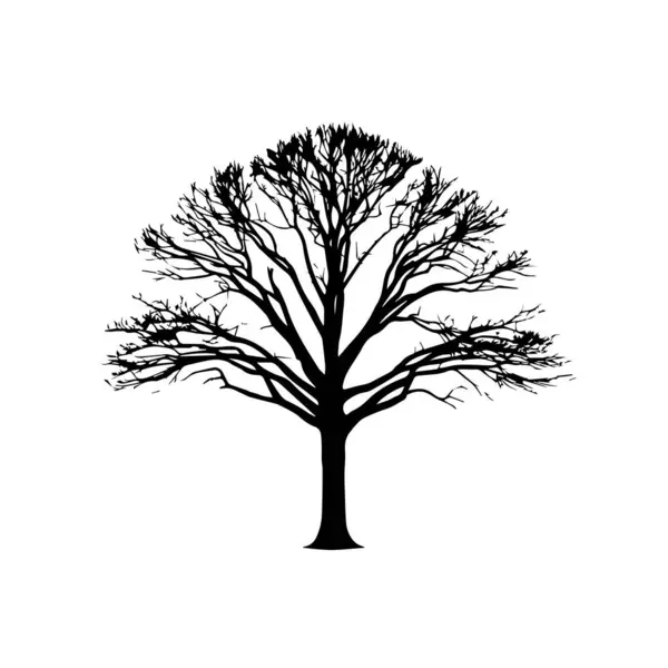 Çıplak ağaç silueti kış manzarası