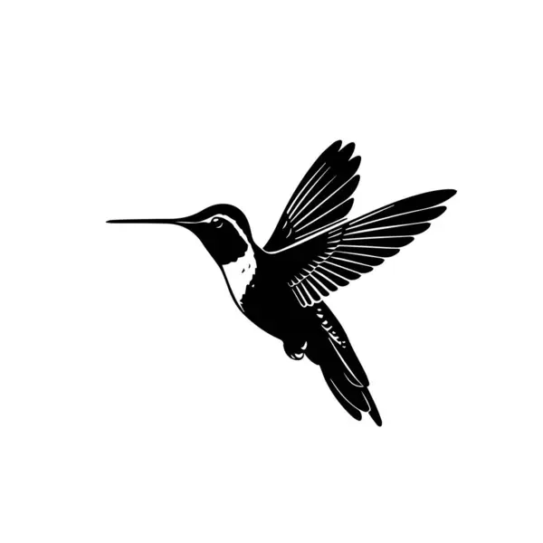 Uçan sinekkuşunun siyah silueti