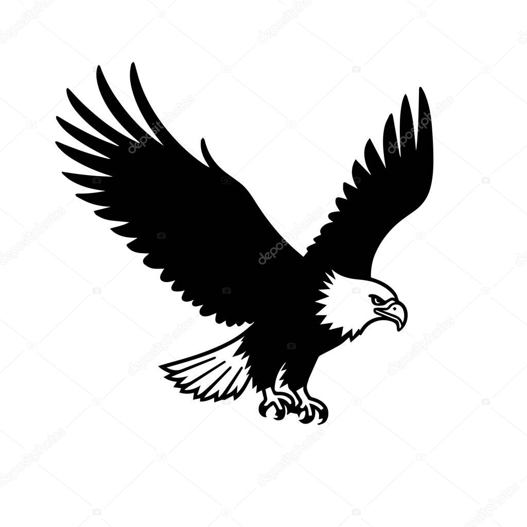 Black and white bald eagle in flight illustration