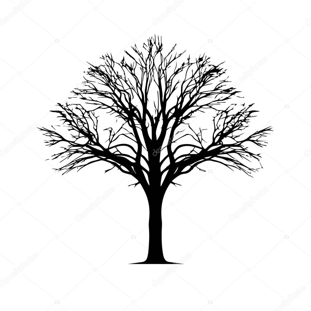 Bare tree silhouette winter nature illustration