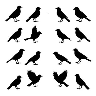 Çeşitli pozlarda on altı kuş silueti