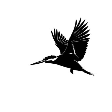 Uçan bir balıkçının siyah silueti.