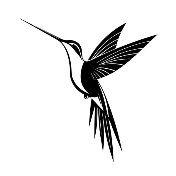 Uçan zarif sinekkuşu silueti