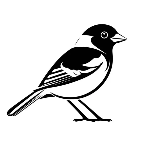 Siyah ve beyaz kuş çizimi silueti