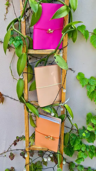 Ahşap bir merdiven pembe, bej ve turuncu renkli üç canlı defter içerir, ışık ve yeşil bitkilerle çevrili, doğal ve yaratıcı bir estetik oluşturur..