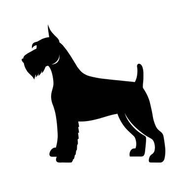 Dev bir Schnauzer köpeğinin siyah silueti.
