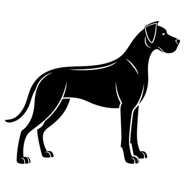 Siyah Danua Silueti Ayakta Duran Profil Beyaz