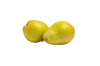 İki sarı armut dokunuyor, ön manzara, şeffaf arkaplan üzerinde izole edilmiş. PNG biçimi..