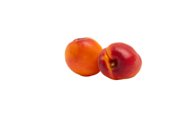 İki olgun nektarin, ön görünüm, şeffaf arkaplan üzerinde izole. PNG biçimi.
