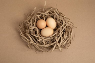 Üç kahverengi yumurtanın üst görüntüsü birbirine uyumlu kahverengi bir zemin üzerinde parçalanmış kraft kağıdından yapılmış bir yuvanın içinde dinleniyor.. 