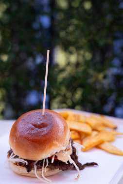Patates kızartmalı hamburger, açık hava manzaralı.