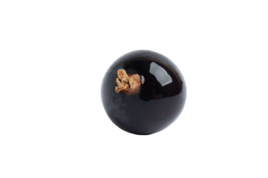 Tek siyah frenk üzümü, şeffaf arkaplanda izole edilmiş, PNG