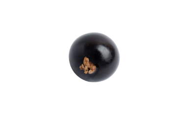 Tek siyah frenk üzümü, şeffaf arkaplanda izole edilmiş, PNG