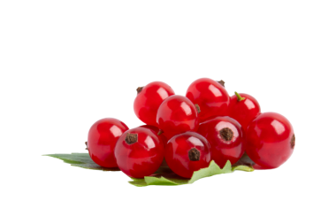 Yapraklı kırmızı frenk üzümü kümesi, şeffaf arkaplanda izole edilmiş, PNG