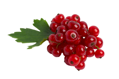 Yapraklı kırmızı frenk üzümü kümesi, şeffaf arkaplanda izole edilmiş, PNG