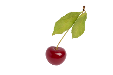 Yaprakları olan tek kiraz, şeffaf arkaplanda izole edilmiş, PNG