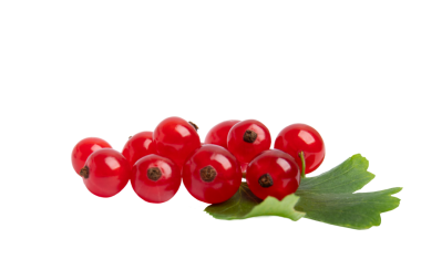 Yapraktaki kırmızı üzümler, şeffaf arkaplanda izole edilmiş, PNG