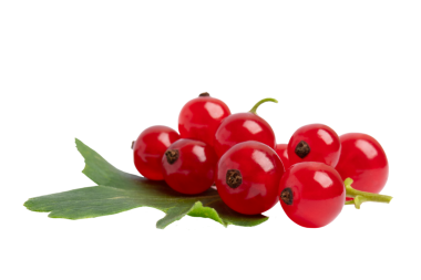 Yapraktaki kırmızı üzümler, şeffaf arkaplanda izole edilmiş, PNG