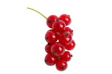 Kırmızı frenk üzümü kümesi, şeffaf arkaplanda izole edilmiş, PNG