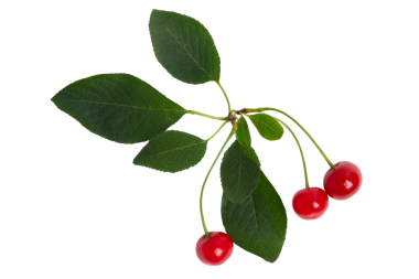 Yeşil yapraklı üç kırmızı kiraz, şeffaf arkaplanda izole edilmiş, PNG