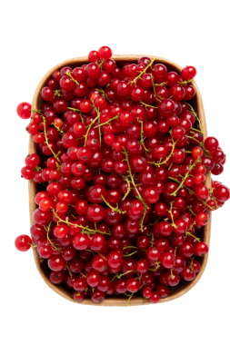 Basket Üst Görünümündeki kırmızı üzümler, şeffaf arkaplanda izole edilmiş, PNG