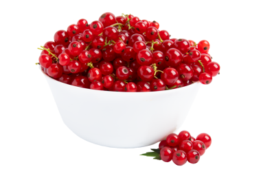 Beyaz Bowl 'da kırmızı frenk üzümü, şeffaf arkaplanda izole edilmiş, PNG