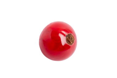 Kırmızı frenk üzümü ön görünümü, şeffaf arkaplanda izole edilmiş, PNG