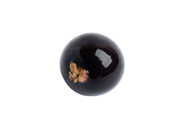 Tek siyah frenk üzümü, şeffaf arkaplanda izole edilmiş, PNG