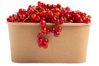 Kağıt kutuda kırmızı frenk üzümü, şeffaf arkaplanda izole edilmiş, PNG