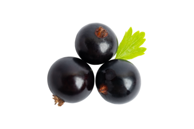 Üç Jabuticaba dutu, şeffaf arkaplanda izole edilmiş, PNG