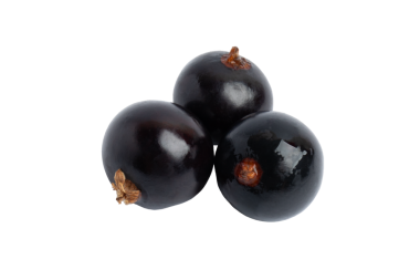 Üç Jabuticaba dutu, şeffaf arkaplanda izole edilmiş, PNG