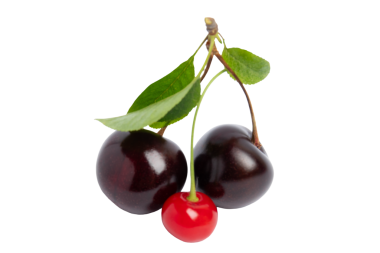 Yeşil yapraklı siyah ve kırmızı kirazlar, şeffaf arkaplanda izole edilmiş, PNG