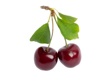 Yeşil yapraklı iki olgun kiraz, şeffaf arka planda izole edilmiş, PNG