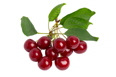 Yapraklı taze kiraz dalı, şeffaf arkaplanda izole edilmiş, PNG