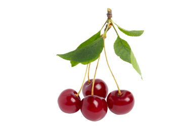 Şeffaf arkaplanda yaprakları olan dört olgun kiraz, PNG