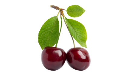 Yeşil yapraklı iki koyu kırmızı kiraz, şeffaf arkaplanda, PNG