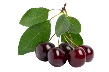 Yapraklı Koyu Kirazlar, şeffaf arkaplanda izole edilmiş, PNG