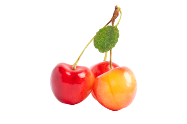 Yaprak ve saplı Rainier kirazları, şeffaf arka planda izole, PNG