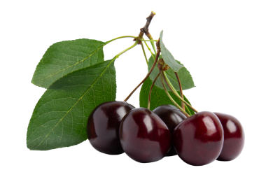 Yapraklı Koyu Kirazlar, şeffaf arkaplanda izole edilmiş, PNG